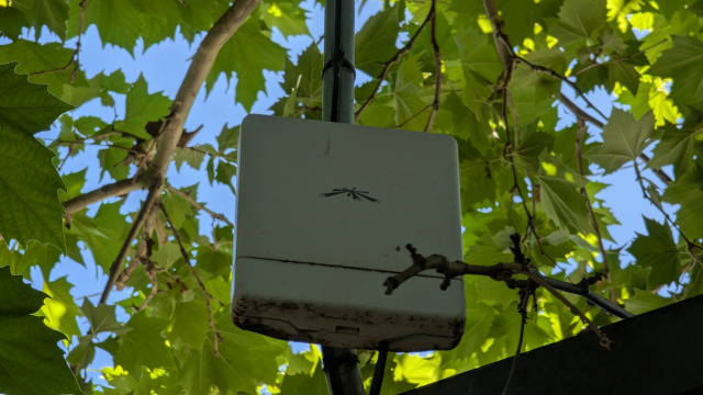 camp_wifi_1 camp_wifi_1